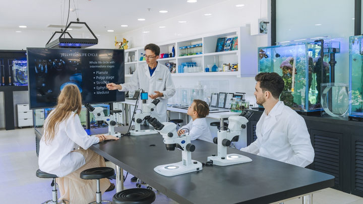 Mysterious Transformation of the Jellyfish