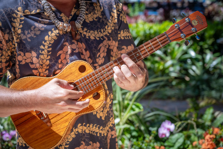 Beginners ukulele lesson (7yrs and older)