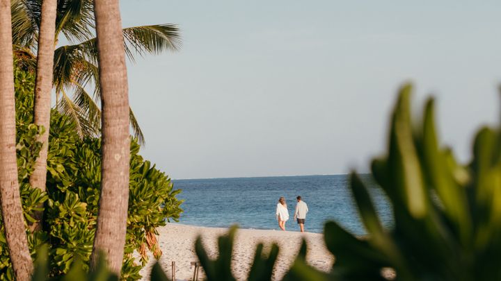 Nature’s First Language – A Walk with Safeeru