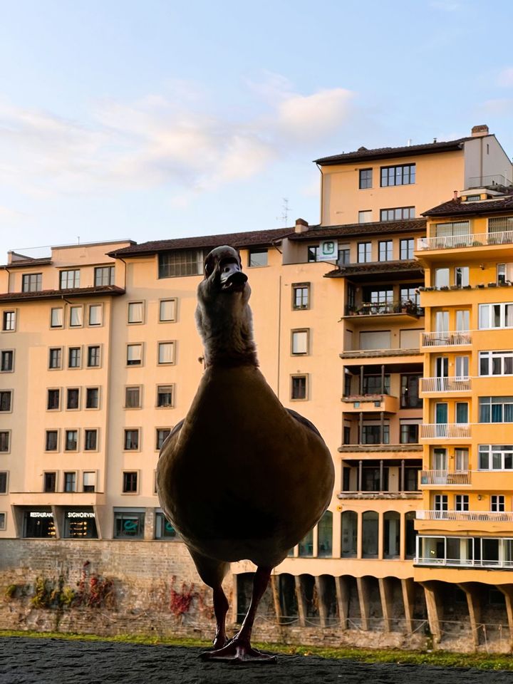 Picture-Perfect Florence: A VIP Photo Shoot In Florence