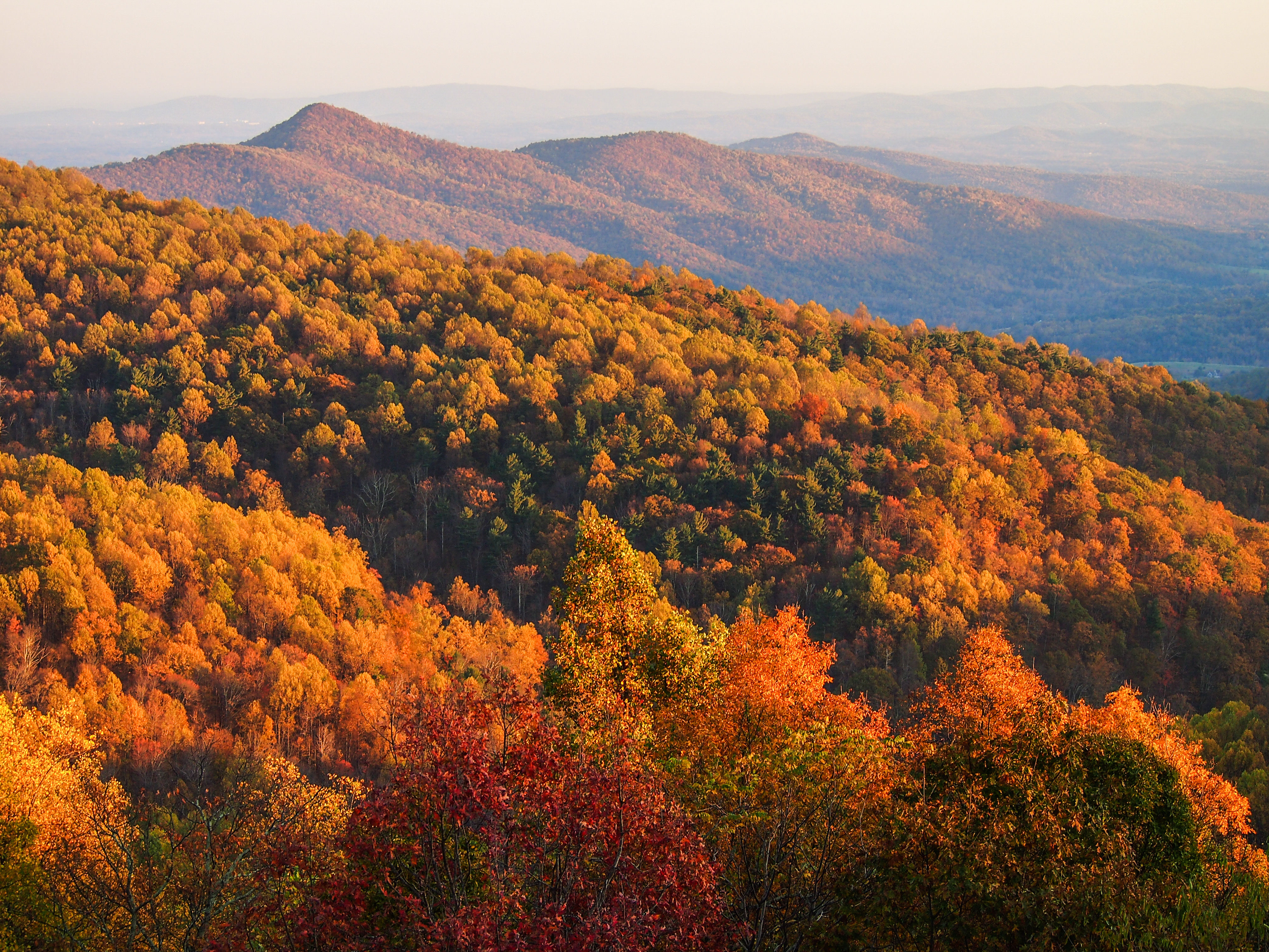 Autumn in Middleburg: Horses, Vines, & Luxury - Includes Roundtrip Airfare for Two (First Chance to Win)