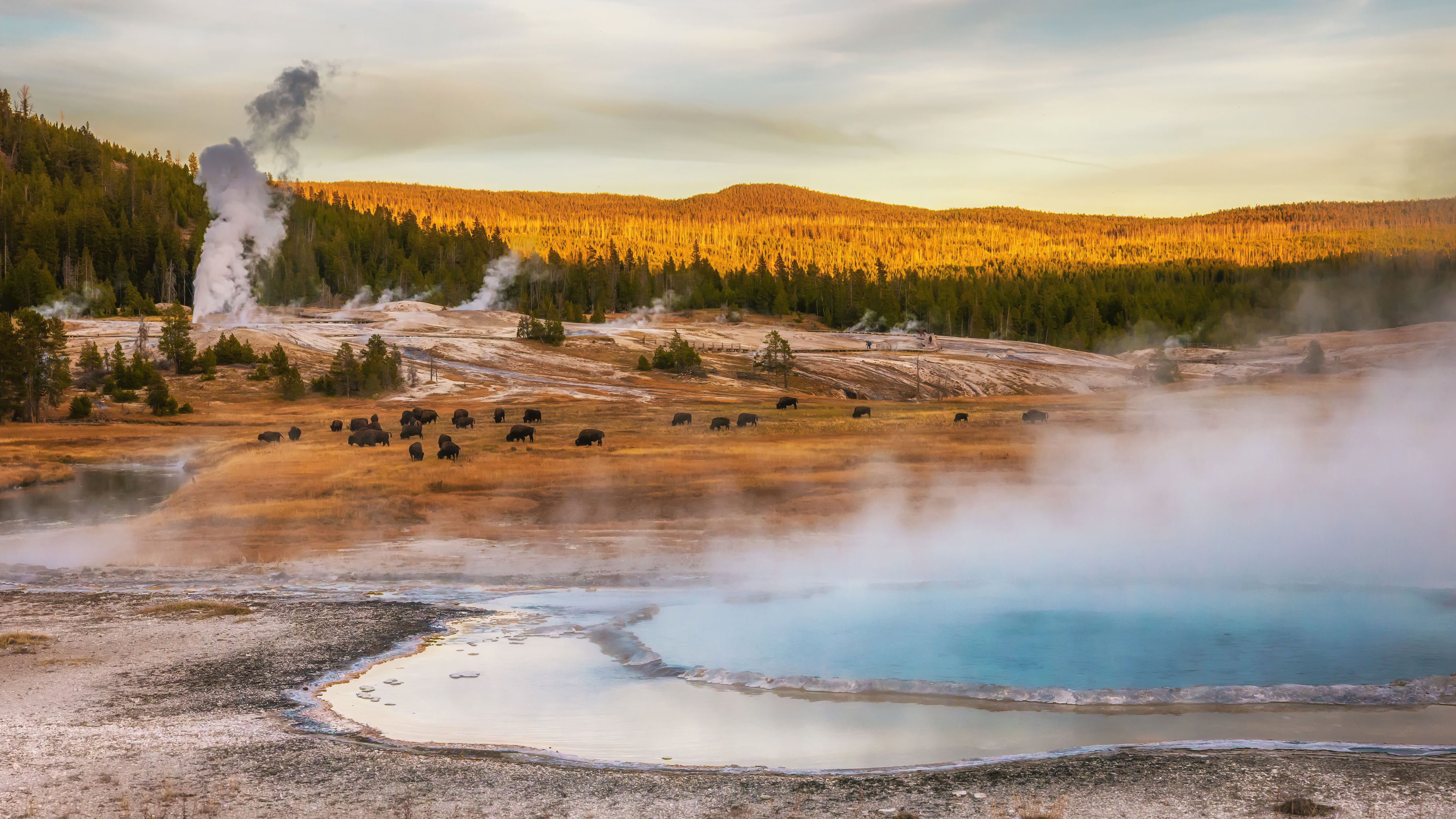 Into the Wild: The Yellowstone Adventure with Roundtrip Airfare for Two