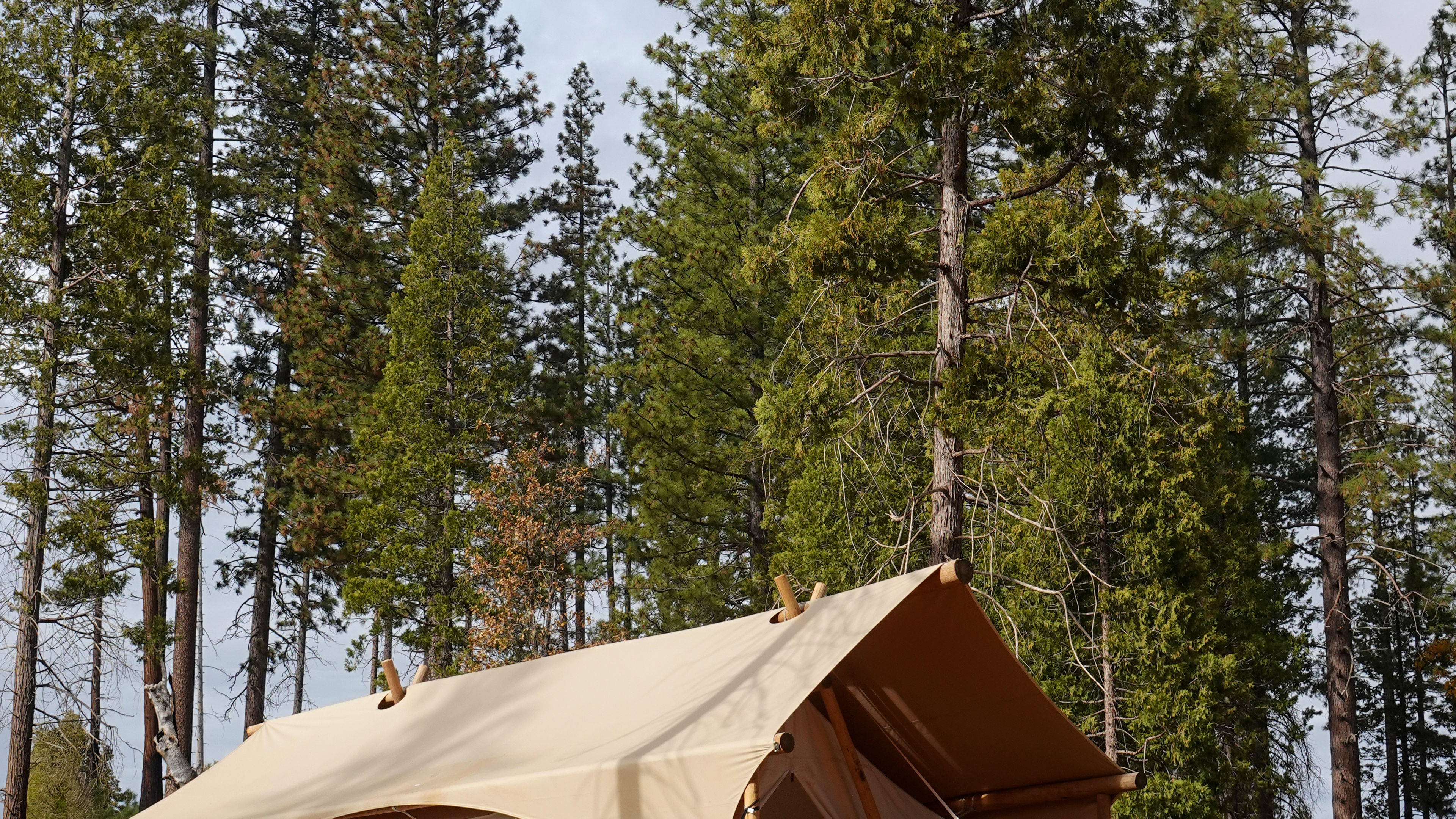 Camp Unwritten with Reese’s Book Club at Under Canvas Yosemite - slide 6