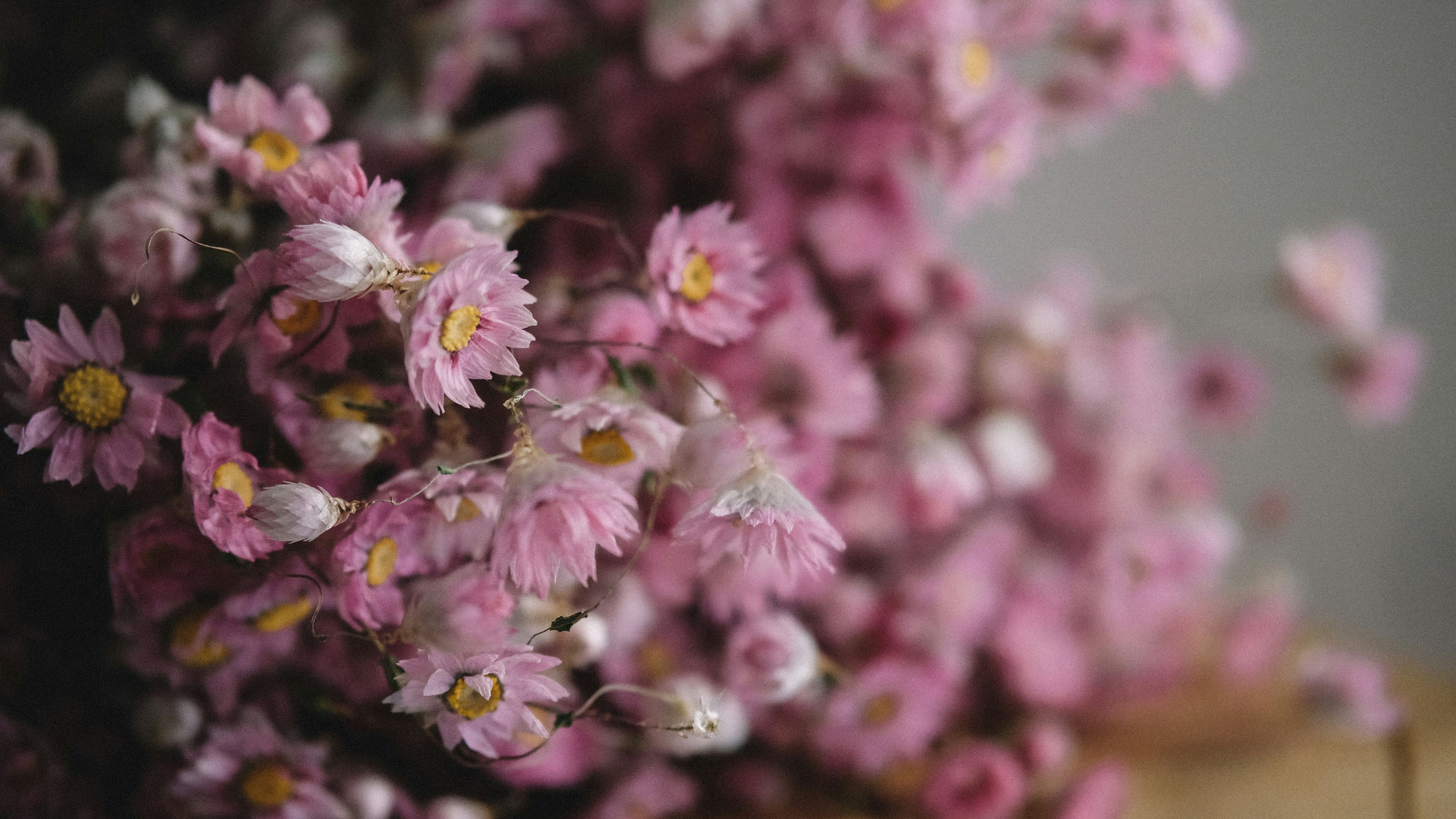 Host Flower Workshop - slide 1